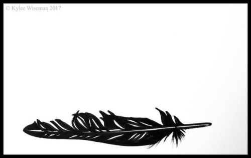 Ink Sketch. #sketch #feather #ink #drawing #bird #wildlife #blackandwhite #flight #fly #art(at Georg