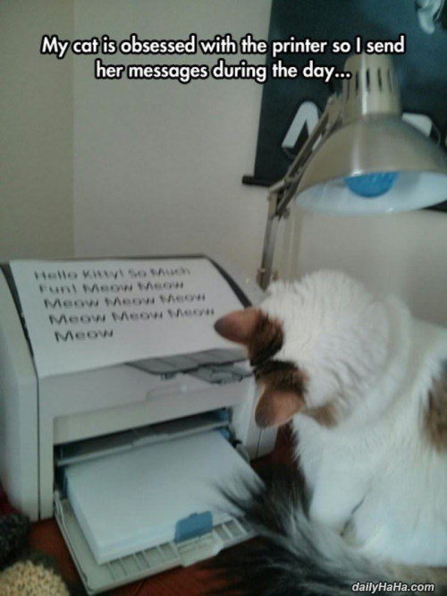 putyouinabettermood:Cute owner sends their cat messages. via ift.tt/1Tdkmmw putyouinabettermo