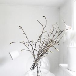 blancuie