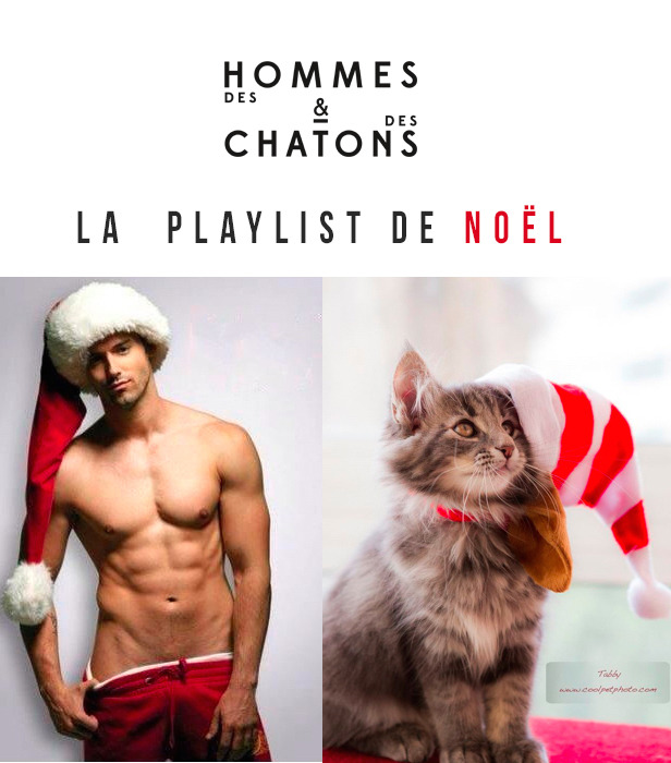 deshommesetdeschatons:    Noël en compagnie d'un homme ou d'un chat ? Dans les deux