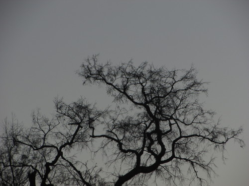 Invierno. | Valdivia, Chile.