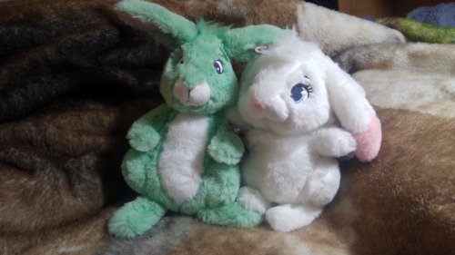 Fortunas I Picked Up The Plush Rabbits Bungee And Jade Fortunas I Picked Up The Plush Rabbits Bungee And Jade