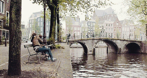 endless-bookends:  010/… Favorite Book to Movie Adaptations The Fault in Our Stars (2014) &md