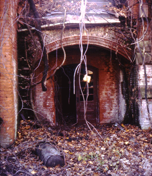 sixpenceee:  3D set of an exploration of the abandoned North Brother’s Island in