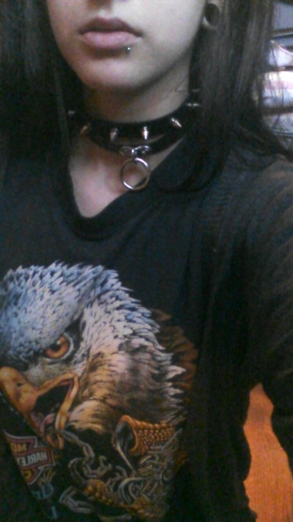 houseof1000lampshades:  My collar came in the mail todayyy I have really bad bags, I’m sick so excuse the lack of face