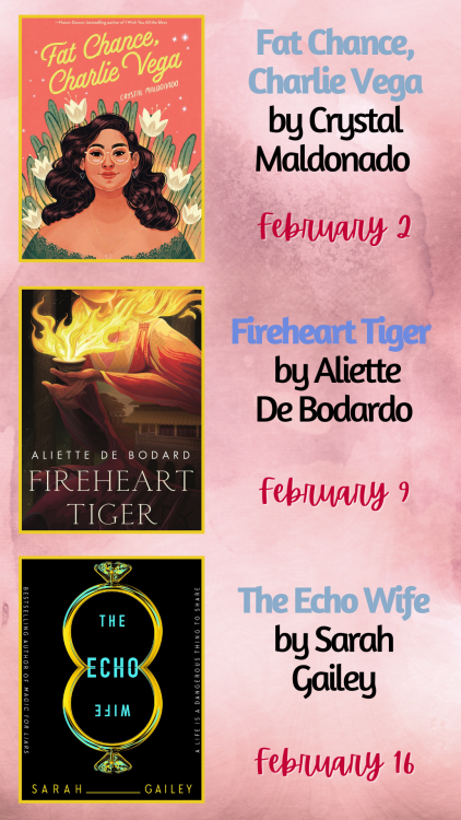 Welcome to February- there are a ton of cool books coming!As always, you can check under the cut for