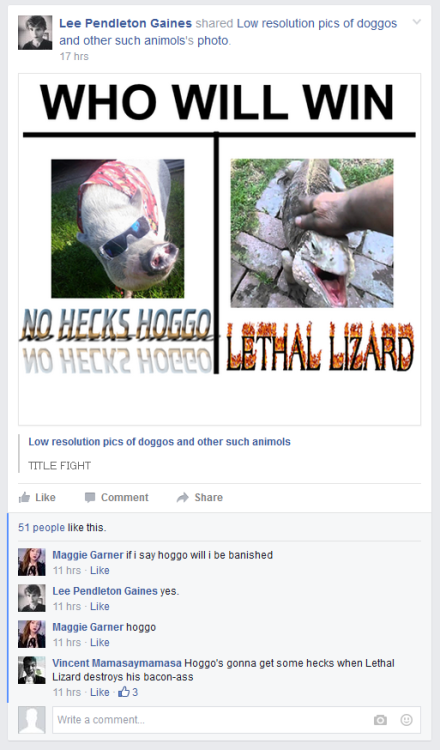 freezeflare-deactivated20150428:my facebook feed is truly excellent