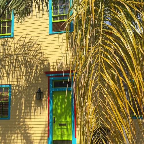 Tropical vibes in Carrollton. New Orleans, Louisiana. February 2016.・For optimal photo quality, view