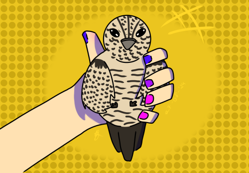 Had To Share The Nighthawk Plushie I Drew For My Rp Blog @kitkatbrown
