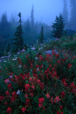 vurtual:Dreamy Rainier (by Yanbing Shi)