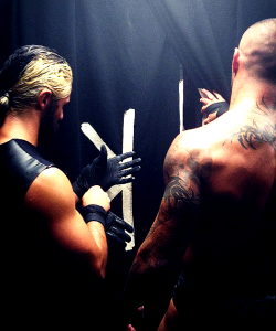 shakerattleandrolls:  Seth Rollins requested