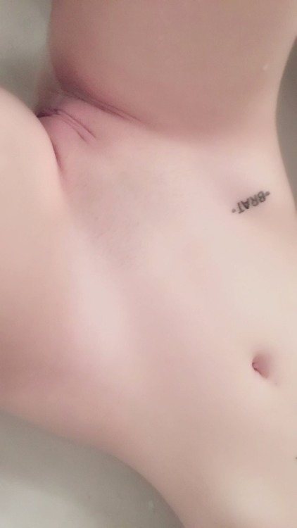 eeveestevie:here, kitty kitty