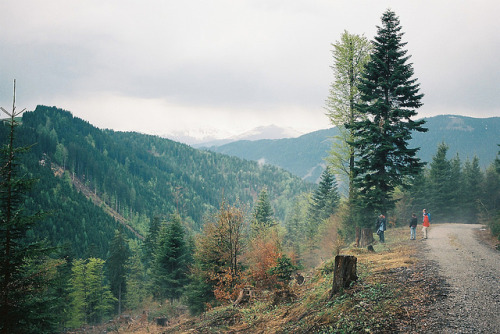 lostinthewhiteroom:  untitled by walkingwalking on Flickr. 