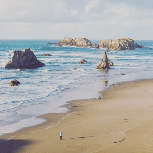 Pacific Coast - California - ‍♀️Novembre 2016  #wilderness #océan #california #wilderness