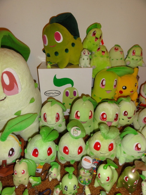 pokescans:  The Chikorita (and family) shelf adult photos