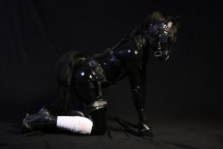 Nighty-Horse:  A Great Sideshot From A Skilled And Friendly Photographer Who Kindly