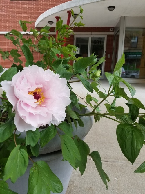 Happy Spring, this is a view of the front of our building…the planting season is upon us!Stay