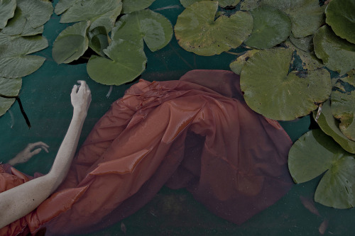 irakalan:PHOTOGRAPHER MONIA MERLO Monia Merlo on flickr porn pictures