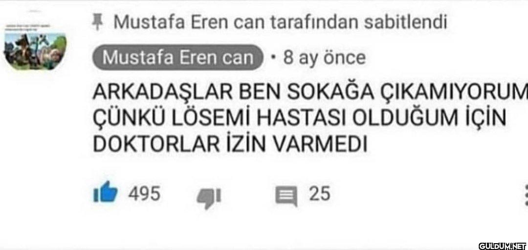 Ziyaret edelim tontiş...