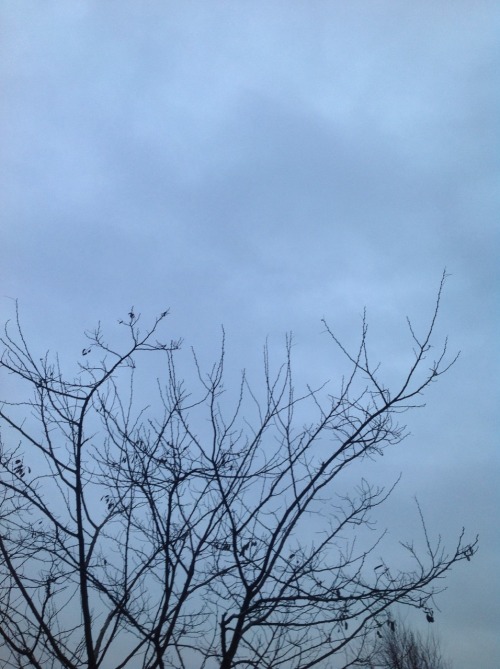 chili-jesson:  3 shades of grey 