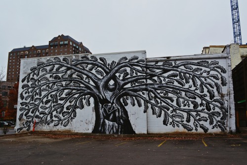 Street Art in Lexington, KY