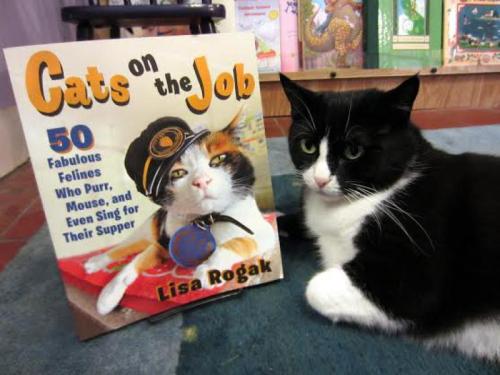 Boswell from Boswell’s Books, Shelburne Falls, MA.“Cats on the Job” by Lisa Rogak will be out in sto