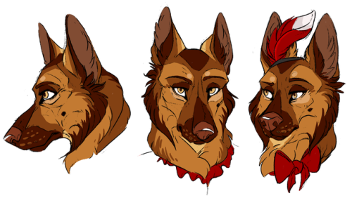 More drawings I made of some characters in a DnD campaign I’m in&hellip; But in Dog AU.&nb
