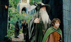 vanhoytls:  lotr meme: ten scenes → [1/10] “the depature of the fellowship”