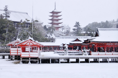 dreams-of-japan:Snowy Miyajima Itsukushima shrine ［Worldheritage］ by h orihashi