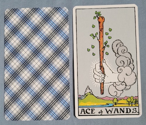 Ace of WandsUpright - Birth, creation, inspiration, new beginnings, new business venture, profitable