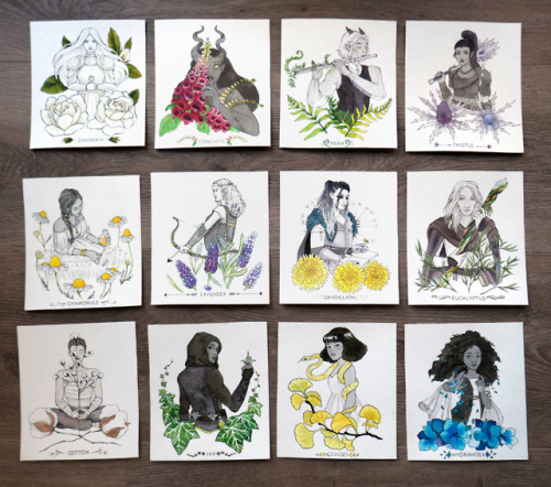 Big news, friends - the Wild Magic Kickstarter is now live! Wild Magic is a 2019 calendar 