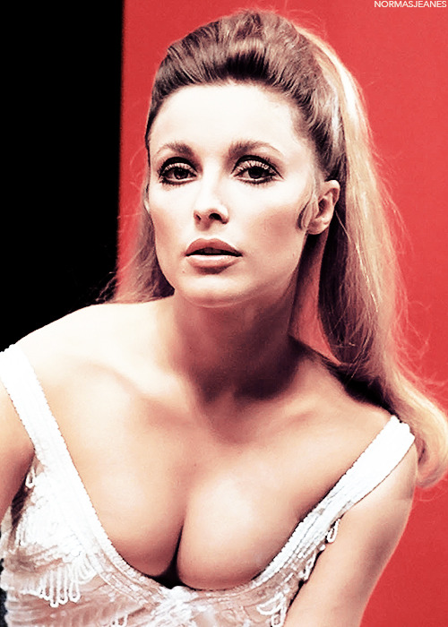 Porn laurasaxby:  Sharon Tate photographed by photos