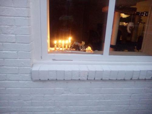 magen-ruth:One of these is not like the others…Chag sameach! @hanukcat btw, cat hanukkiyah and actua