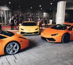 emilio888:  Squad Goals | © 2015 Emil HabouriFollow affluence-de-la-vie for amazing car pics 