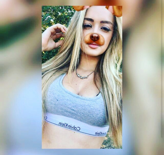 Tumblr media