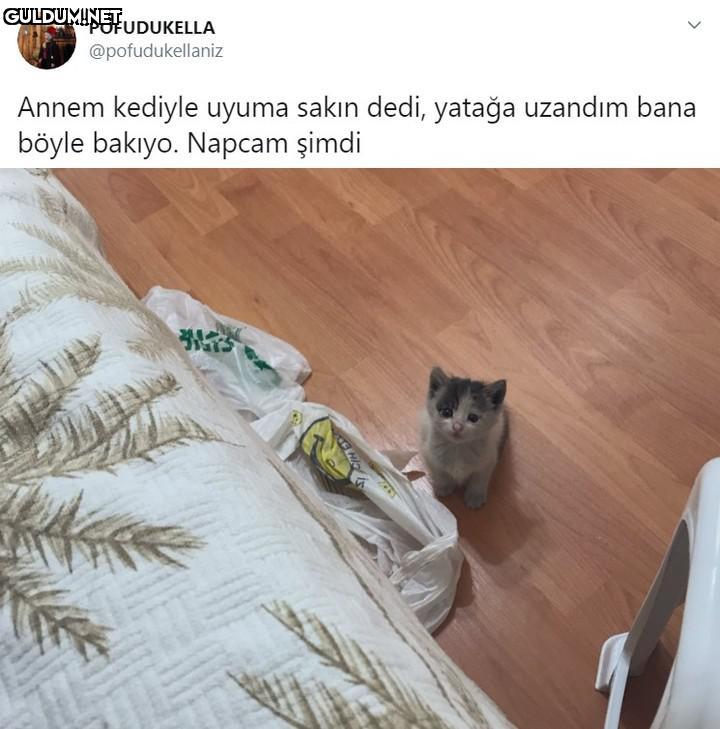 Bakışa bak 🥺 POFUDUKELLA...