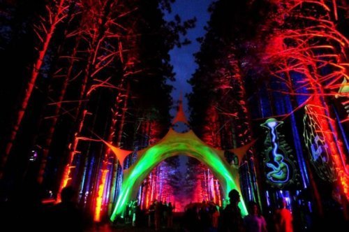 shade-16kj:  I want to get lost in the forest! 