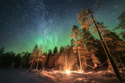 Tiinatormanenphotography:  Stargazing In The Woods.â 27Th Nov 2016, Southern Lapland,