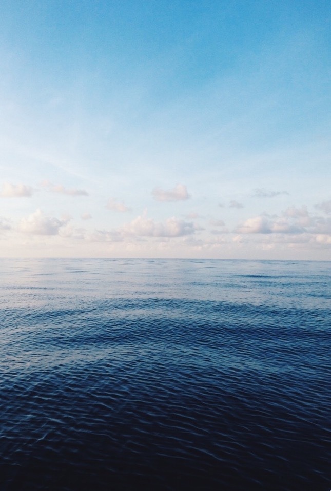 accio-forest:  7:15 AM | Photographer 
