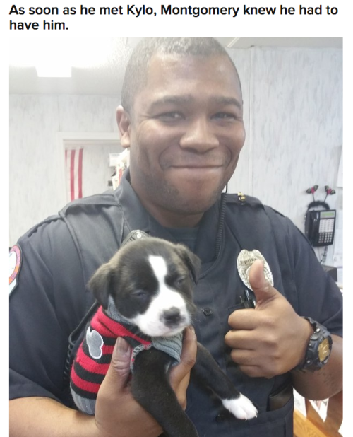 reveriefit-rae: elphabaforpresidentofgallifrey: buzzfeed: This Cop Was Called To An Animal Shelter A