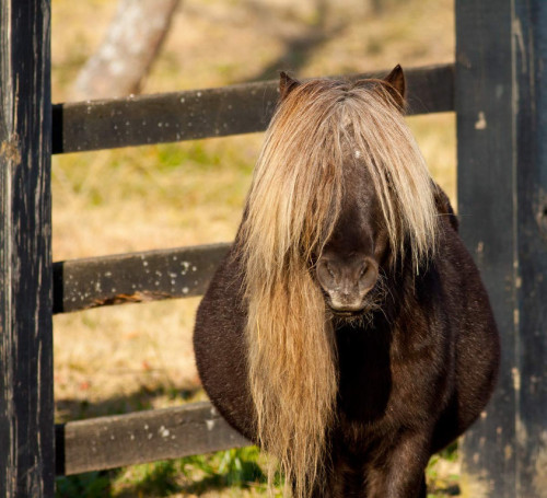 (via Bowland Photography)