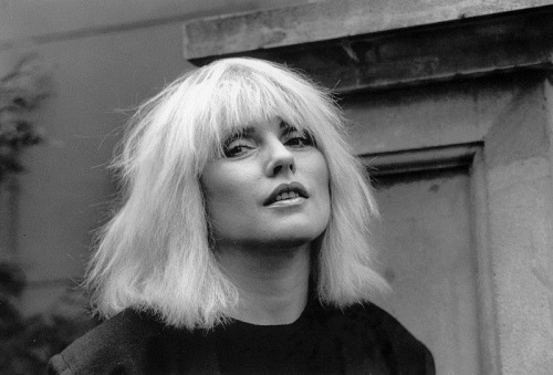 Porn blondie-poedie:  Debbie Harry    photos