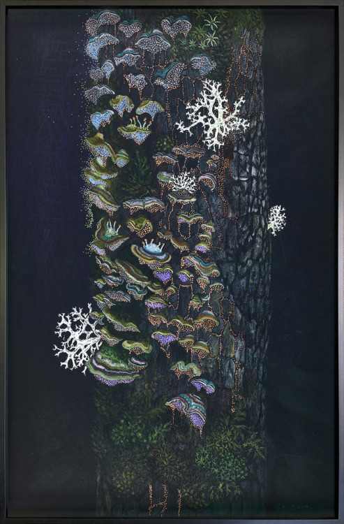 polkadotmotmot:Claire Burbridge - Tree Study 1 (Triptych), 2019
