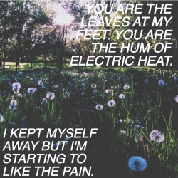 b-randnew:  Hum // Tigers Jaw ~not my picture