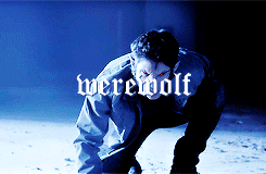  Teen Wolf + Shape Shifters 