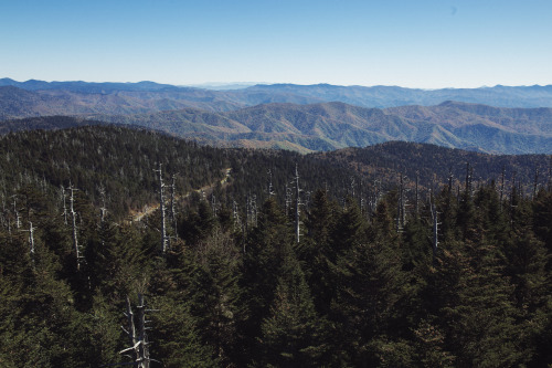 Great Smoky Mountains National Park - Tennessee, USA