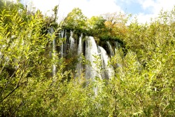 Plitvice, Croatia http://www.fascination-st.tumblr.com/