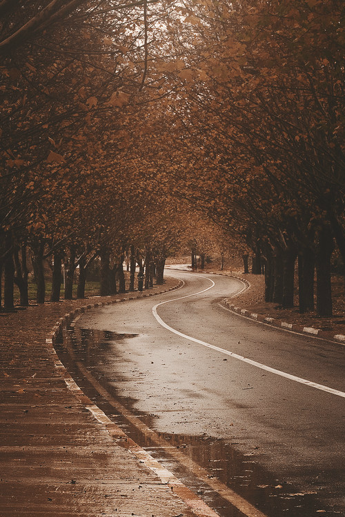 stvdy:  Ayoub El Atrass 