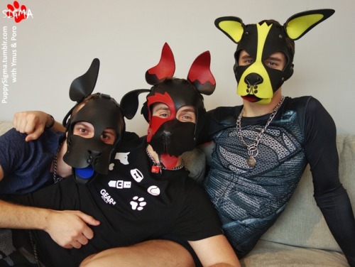 max-ateka: puppysigma: Sorry my dear Handler, the couch is already taken by us with Ymus &amp; @