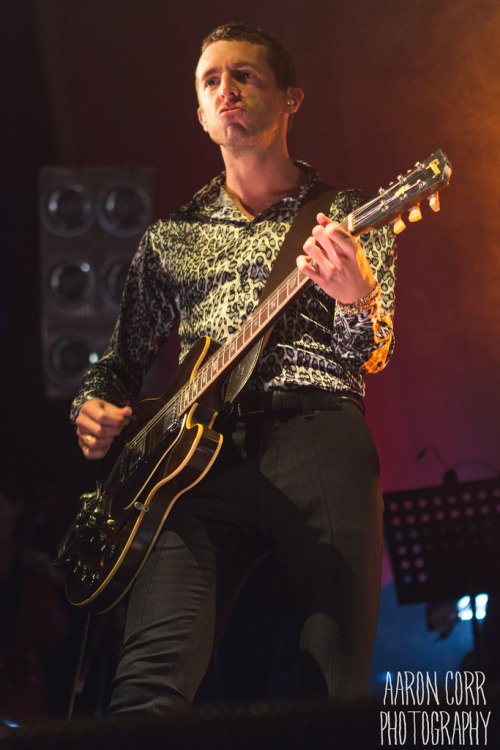 ghostcookie0114: The Last Shadow Puppets @ Olympia, Dublin, May 25, 2016By: Aaron Corr